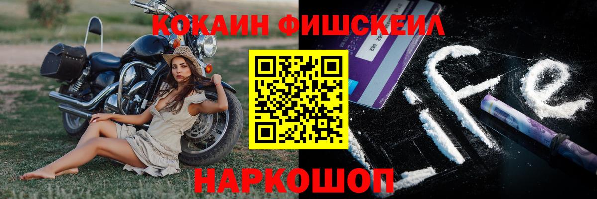 Кингисепп  COCAIN Fish Scale  COCAIN  Вход с VPN 