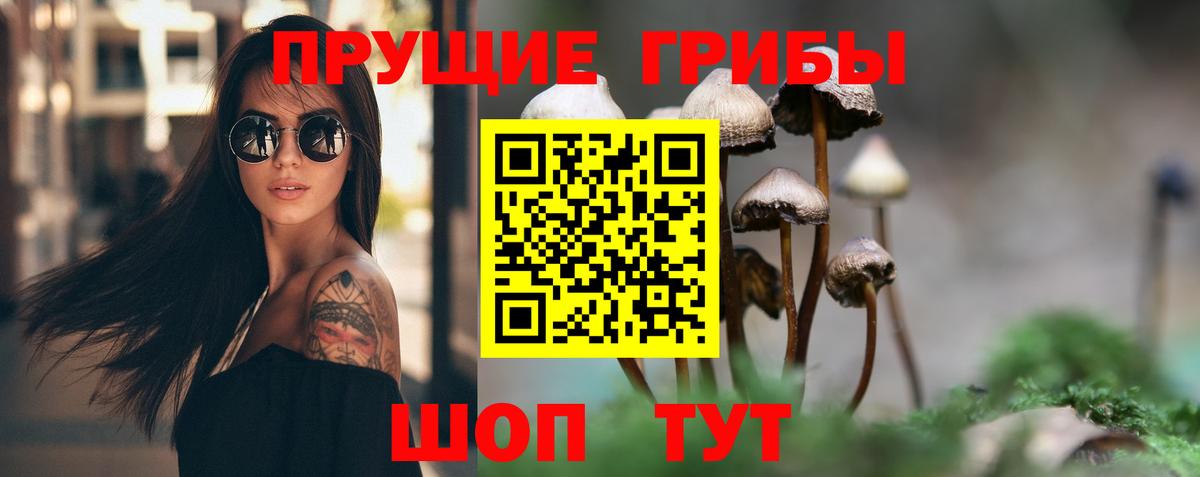 Псилоцибиновые грибы мухоморы Кингисепп