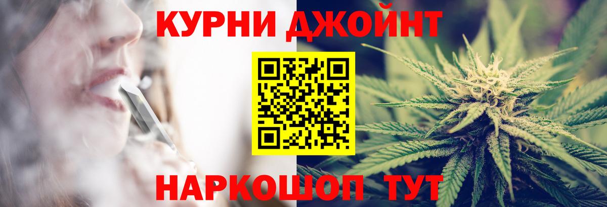 Конопля сатива Кингисепп
